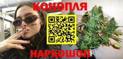 мяу мяу мука Нальчик