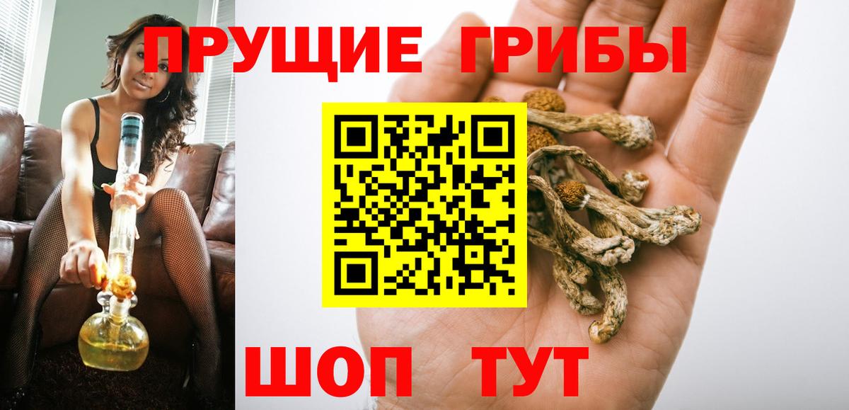 купить закладку  Вход с VPN  Холмск  Псилоцибиновые грибы Psilocybine cubensis 