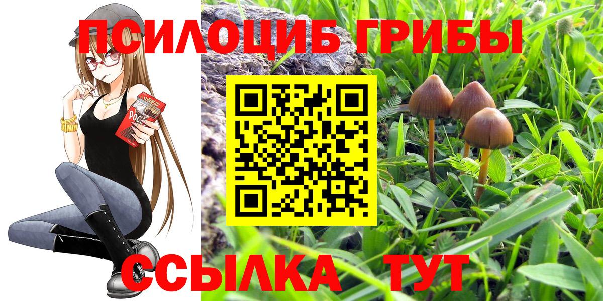 Галлюциногенные грибы GOLDEN TEACHER Холмск