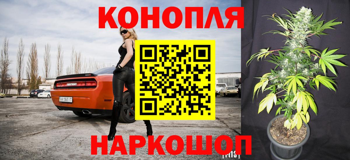 Бошки Шишки семена  Вход с VPN  Бошки Шишки THC 21%  Марихуана конопля  Холмск 